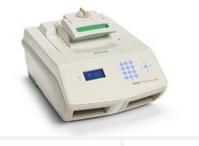 美國伯樂S1000 PCR 儀